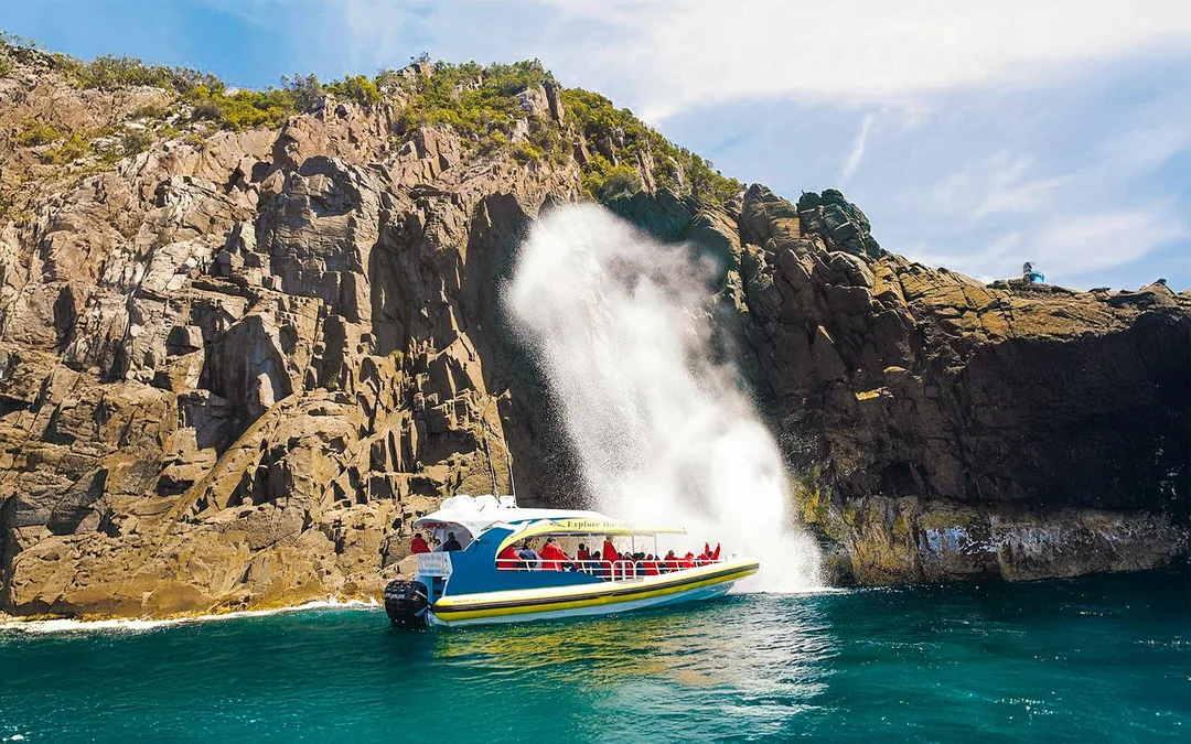 Bruny Island Wilderness Cruise Image 3