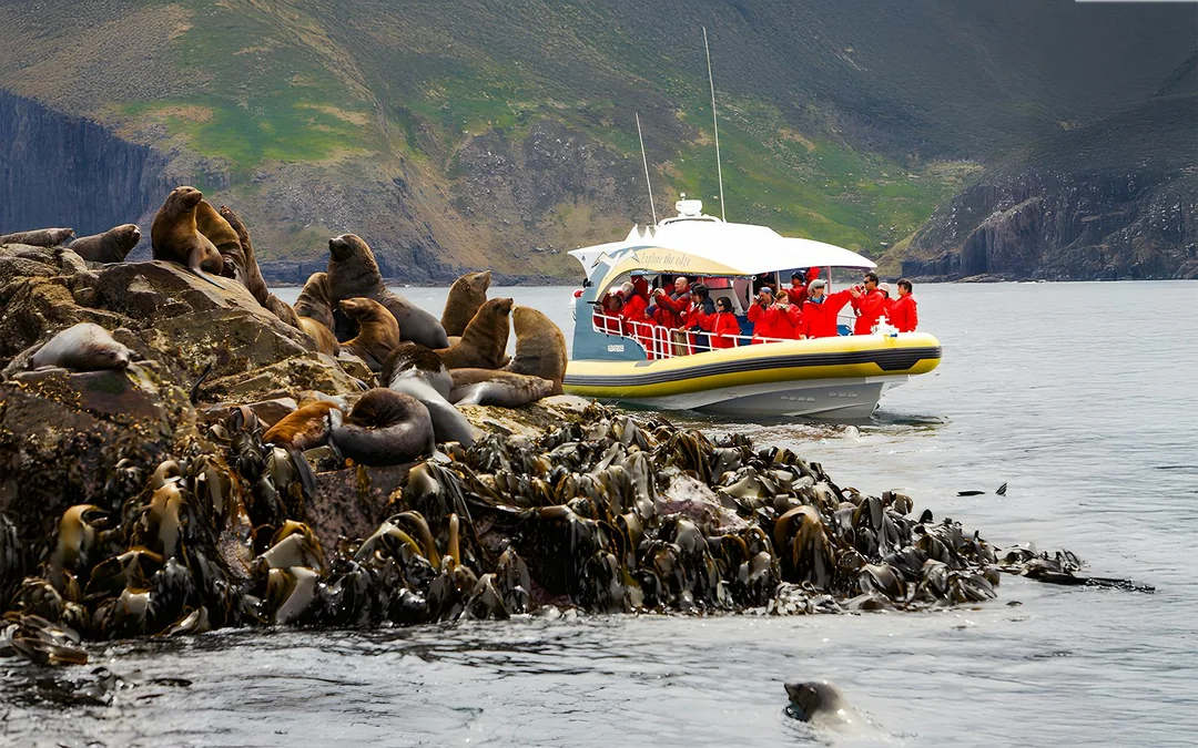 Bruny Island Wilderness Cruise Image 4