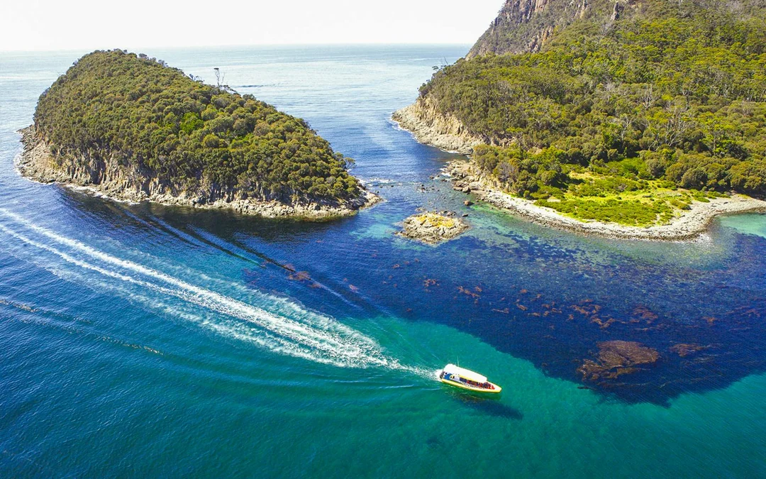 Bruny Island Wilderness Cruise Image 7