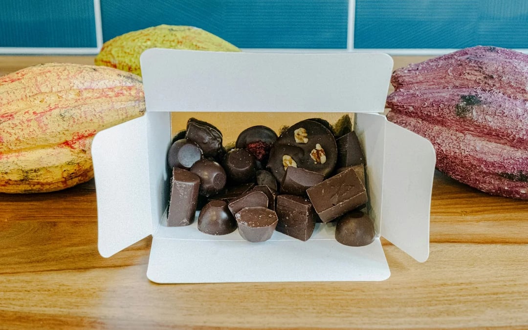 Brussels Belgian Chocolate-Making Class Image 4