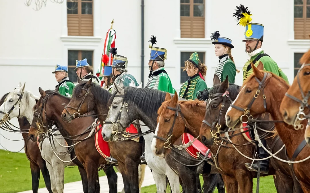 Budapest: Gödöllő Royal Sisi Guided Half-Day Tour Image 4