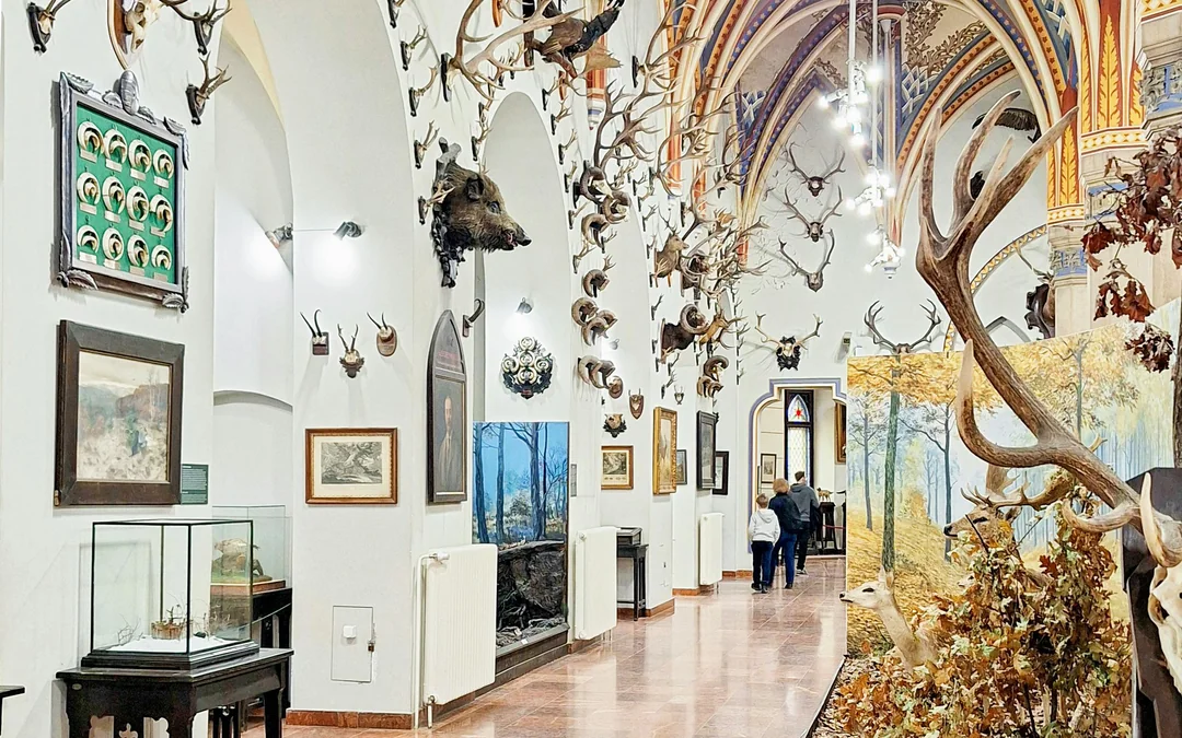 Budapest: Vajdahunyad Castle and Hungarian Agricultural Museum Entry Tickets Image 3
