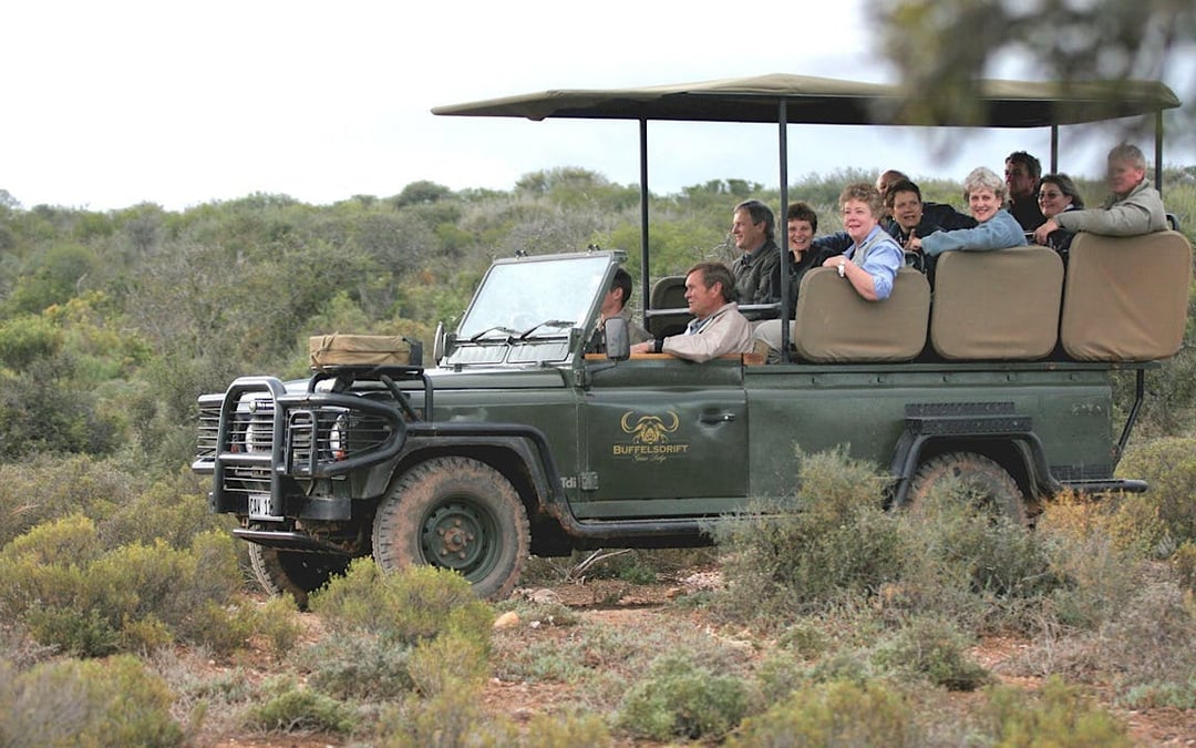 Buffelsdrift Game Lodge Private Safari Tour from Cape Town with Tented Stay, Game Drives, and Wildlife Encounters Image 1