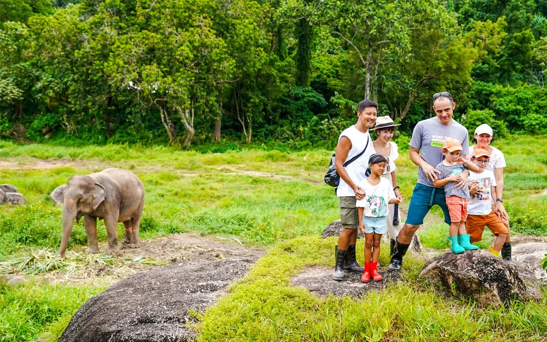 Bukit Elephant Park: Observe and Feed Guided Tour with Optional Transfers Image 12