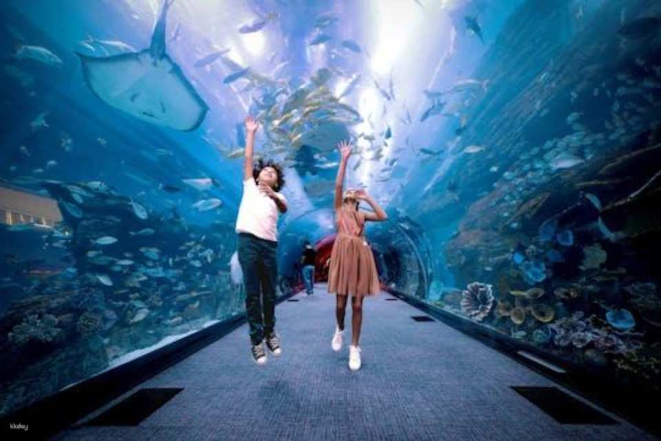 Burj Khalifa floors 124, 125 and Dubai Aquarium tickets