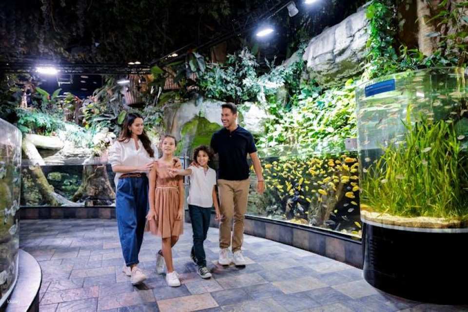 Burj Khalifa floors 124, 125 and Dubai Aquarium tickets