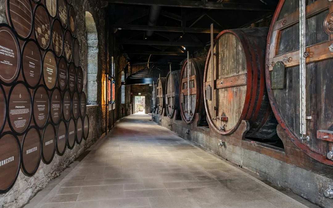 Burmester Wine Cellar Guided Tour with 3 Port Wine Tastings Image 5