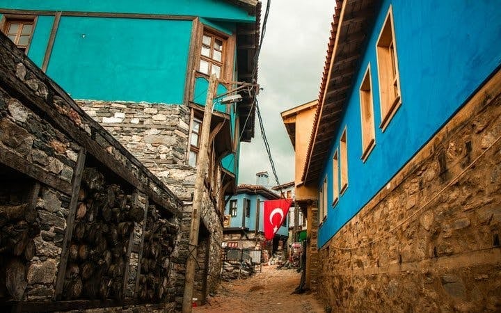 Bursa Cultural and Historical Day Tour with Cumalıkızık Village, Ulu Mosque, and Optional Cable Car Ride Image 2