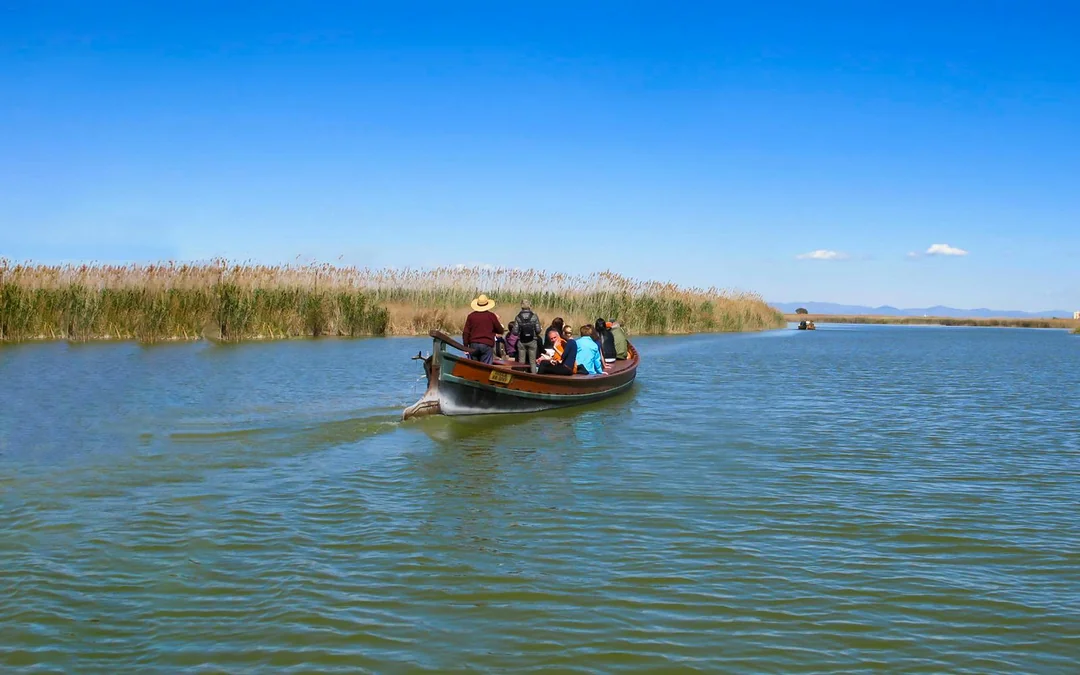 Bus Service at Albufeira Natural Park with a Boat Ride Image 4