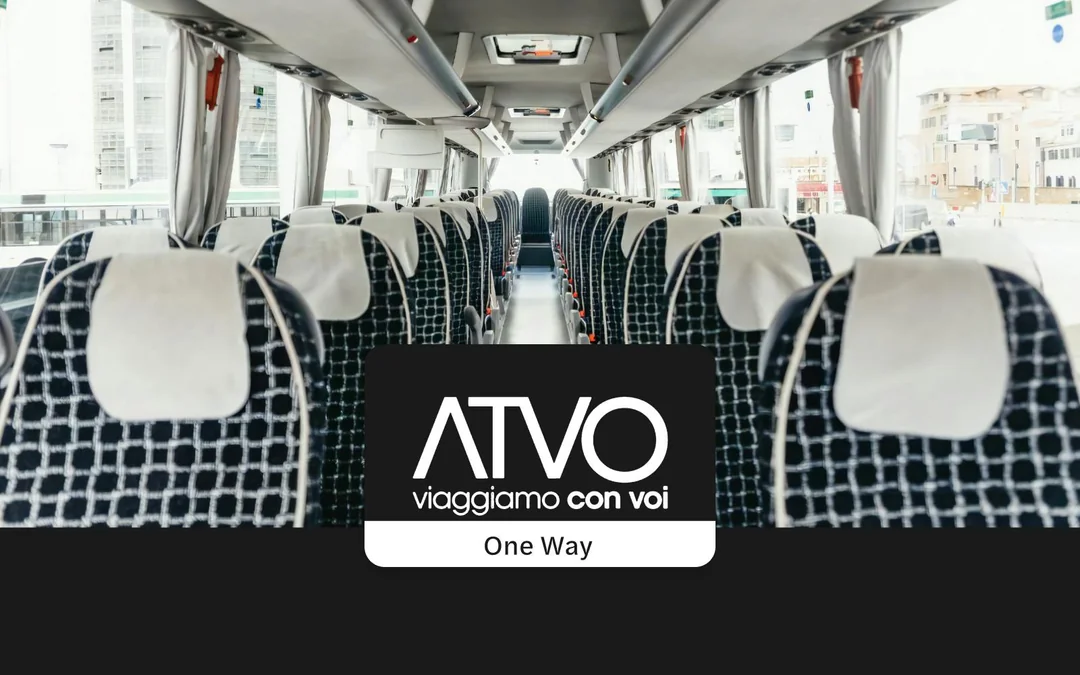 Bus Transfers: Venice Marco Polo Airport to/from Piazzale Roma/Mestre Central Train Station Image 1