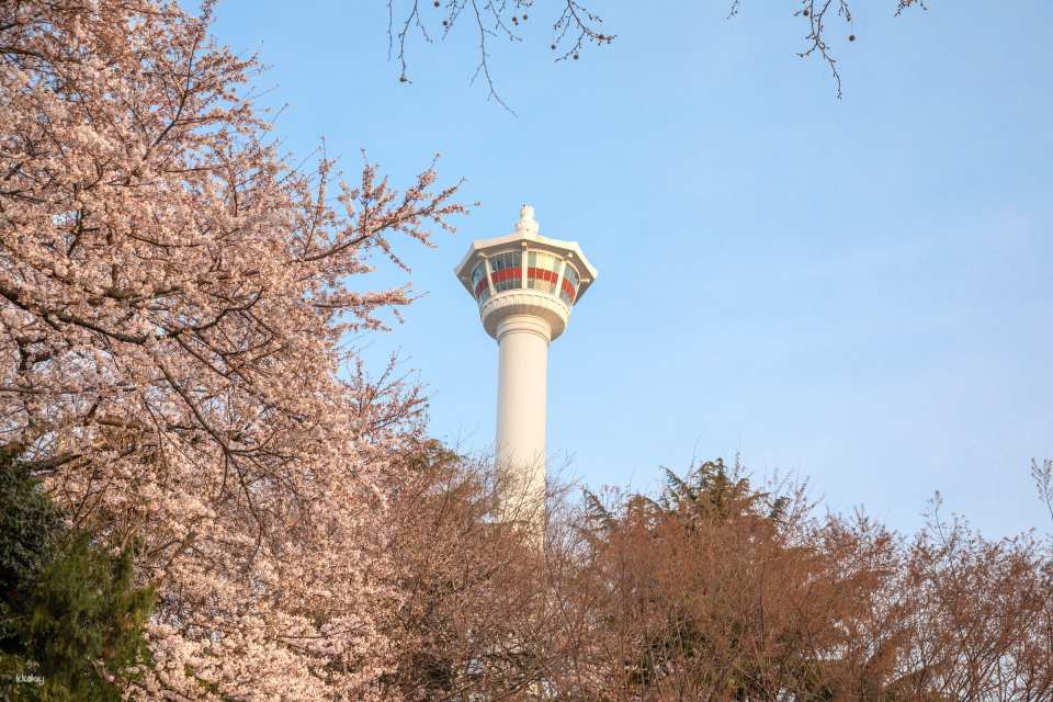 Busan Tower Observatory Admission Ticket