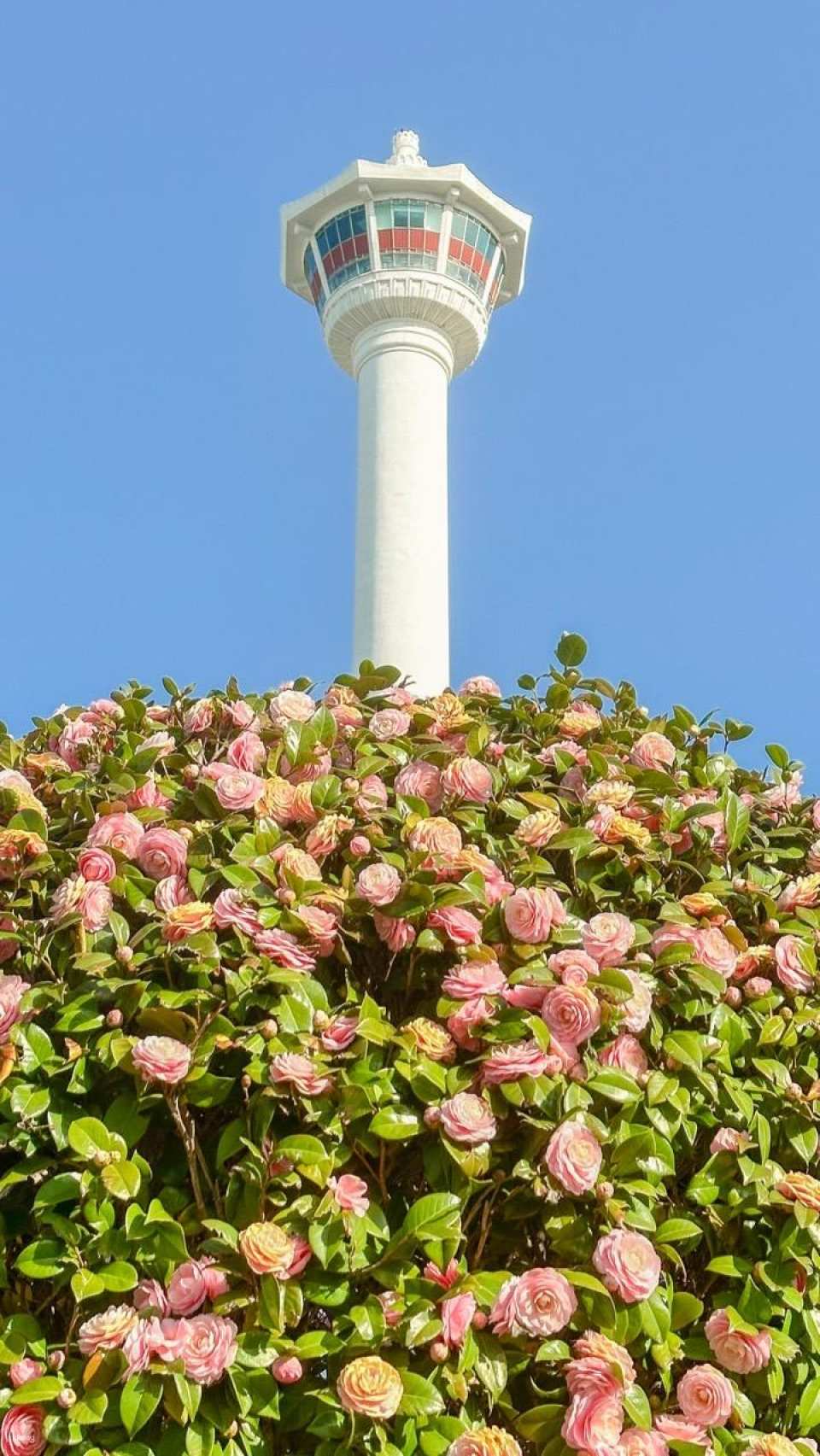 Busan Tower Observatory Admission Ticket