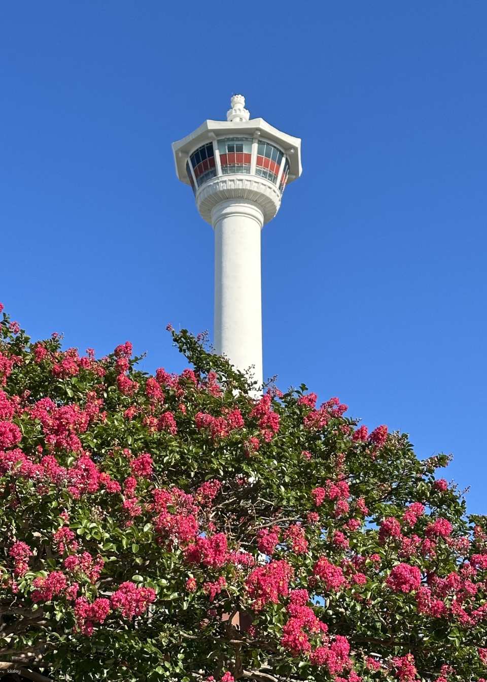 Busan Tower Observatory Admission Ticket