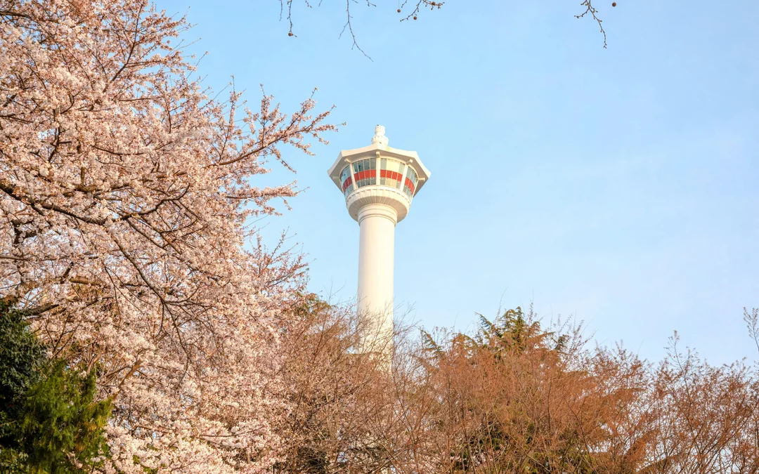 Busan Tower Observatory Entry Tickets Image 1