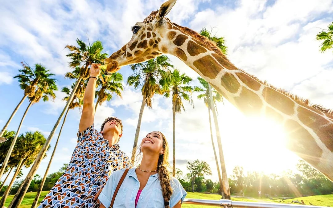 Busch Gardens Tampa Annual Passes Image 3