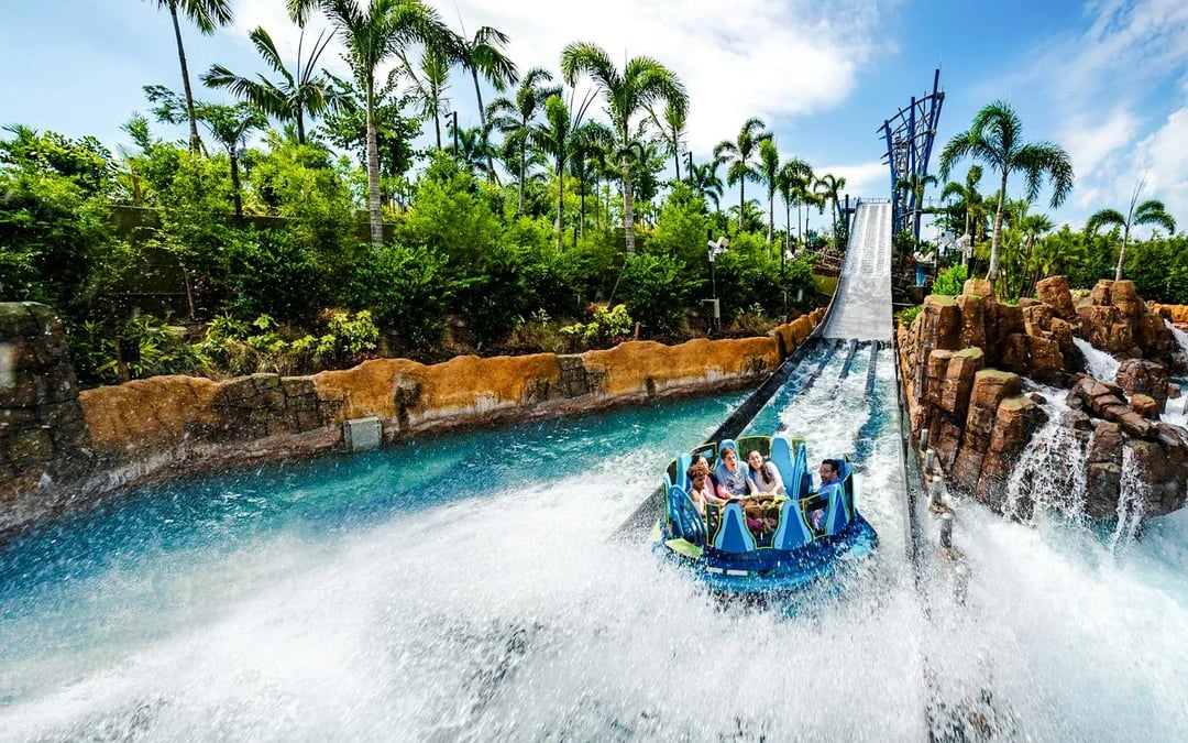 Busch Gardens Tampa Bay 3-Park Tickets Image 5