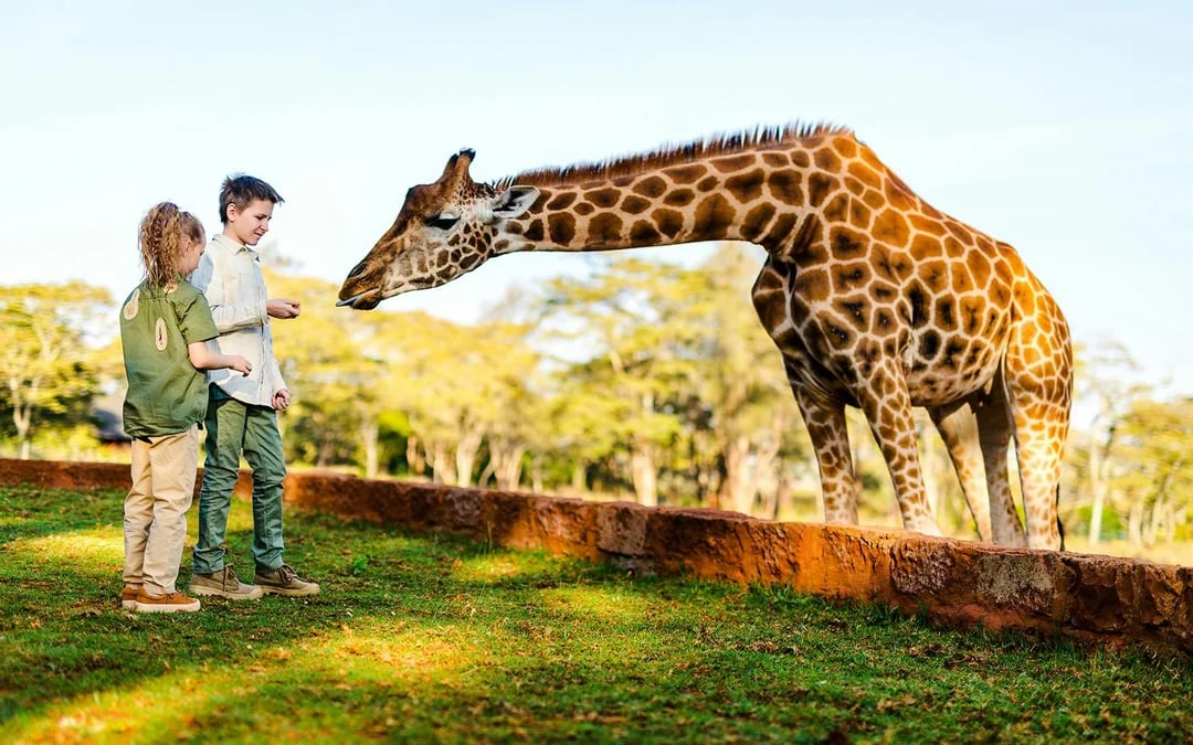 Busch Gardens Tampa Bay 4-Park Tickets with 14-Day Unlimited Visits Image 2