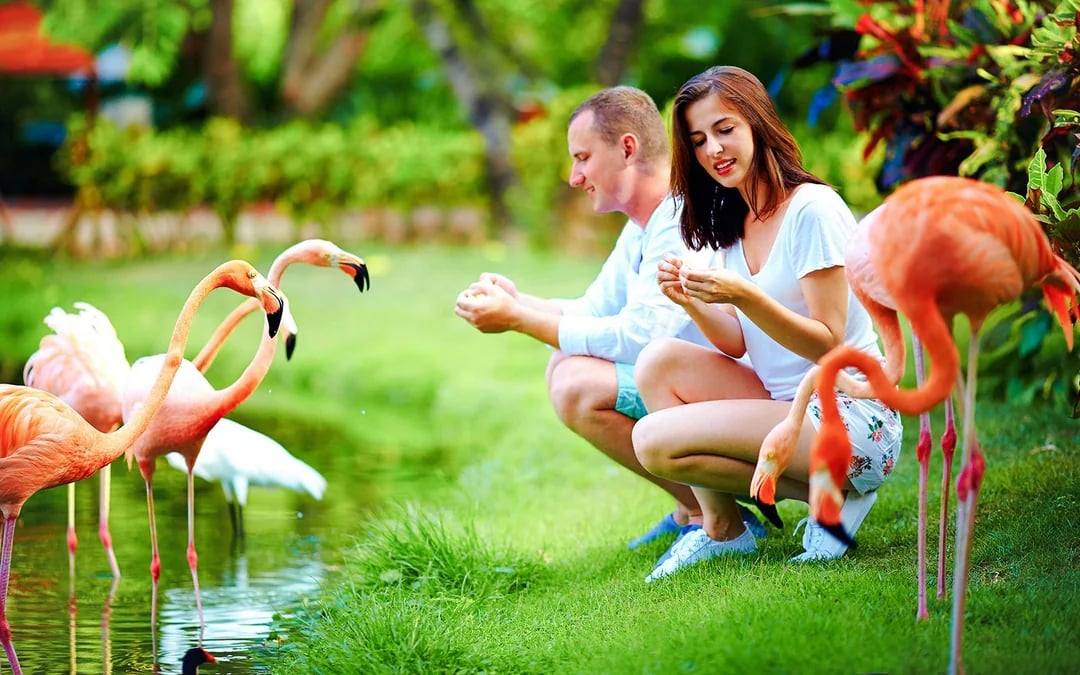 Busch Gardens Tampa Bay 4-Park Tickets with 14-Day Unlimited Visits Image 3