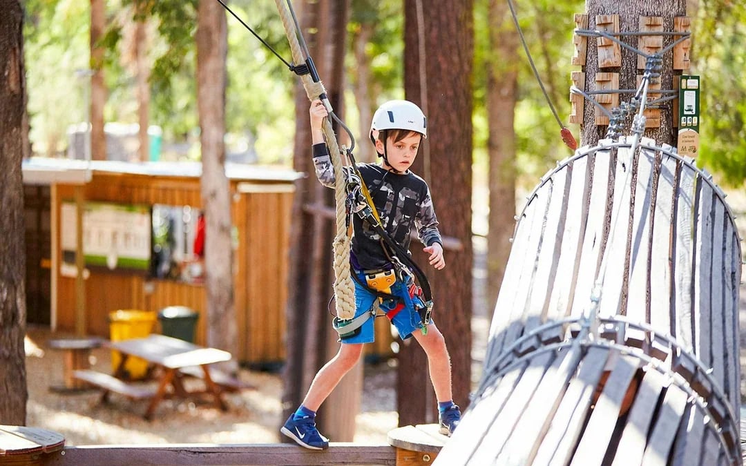 Busselton: Forest Adventures High Ropes Course Image 7