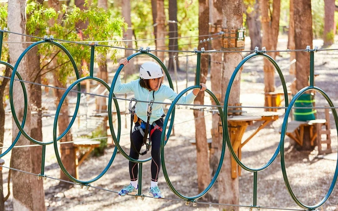 Busselton: Forest Adventures High Ropes Course Image 8