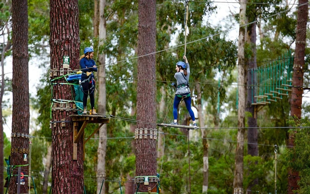 Busselton: Forest Adventures High Ropes Course Image 9