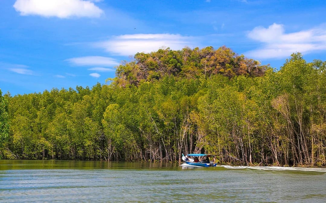 By Private Speedboat: Langkawi Island Hopping Tour Image 7