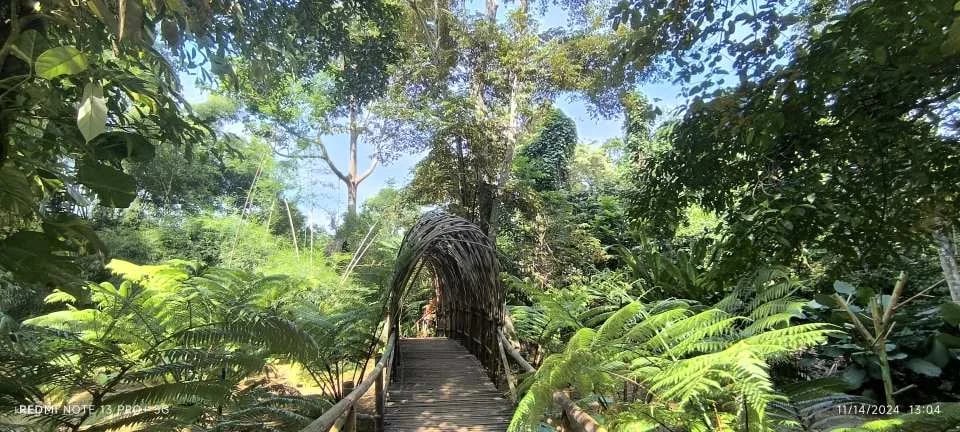 Cacaoyan Forest Park Admission Ticket | Philippines