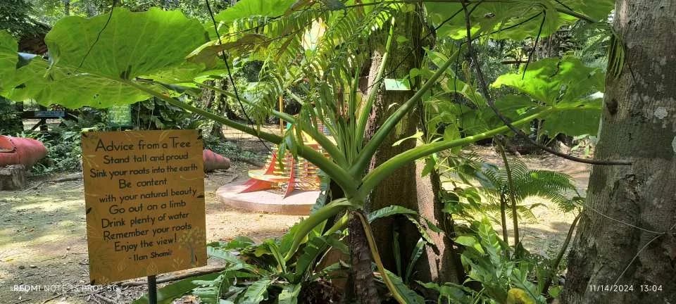 Cacaoyan Forest Park Admission Ticket | Philippines