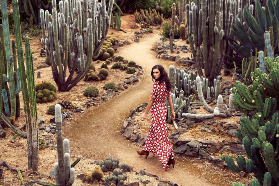 Melbourne Cactus Country Garden Entry Ticket | Victoria