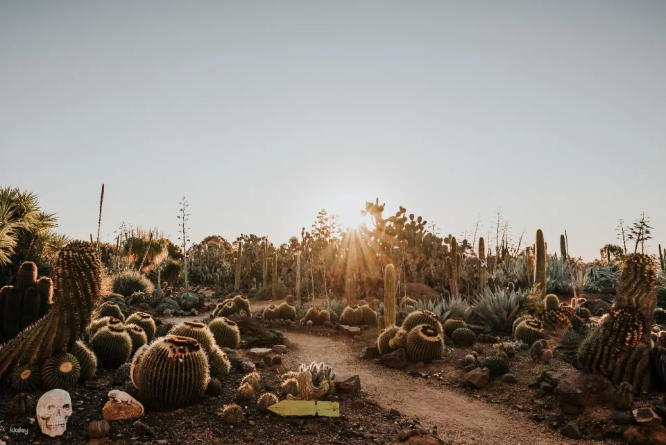 Melbourne Cactus Country Garden Entry Ticket | Victoria