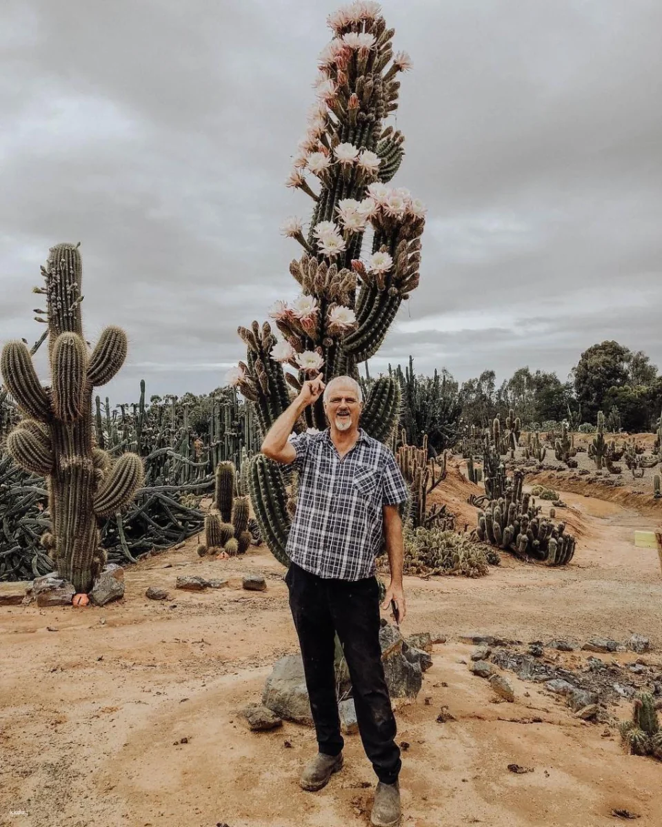 Melbourne Cactus Country Garden Entry Ticket | Victoria