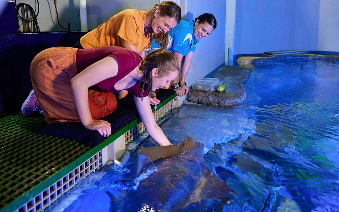 Cairns Aquarium General Admission Tickets with Turtle Hospital Tour Image 2