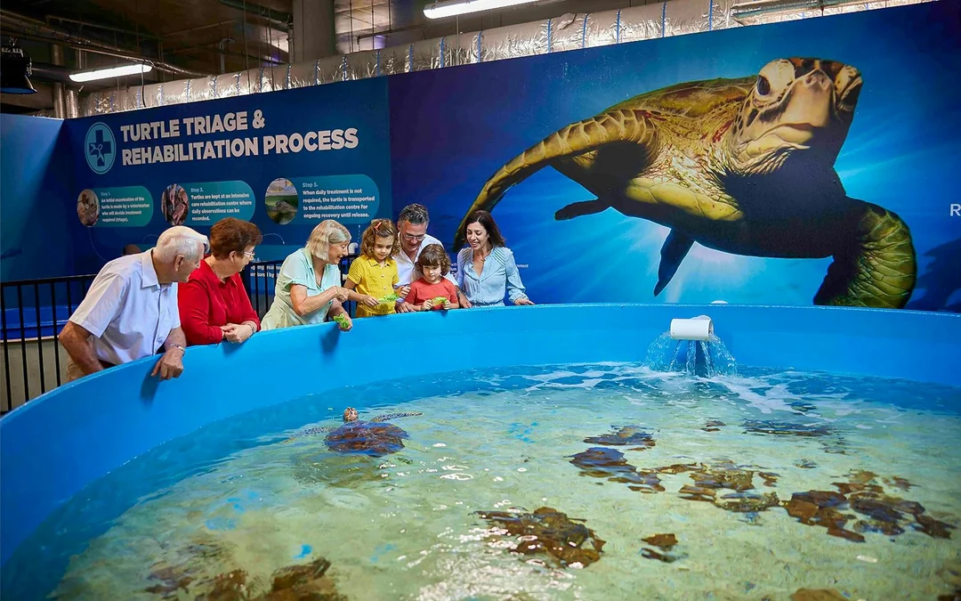 Cairns Aquarium General Admission Tickets with Turtle Hospital Tour Image 3