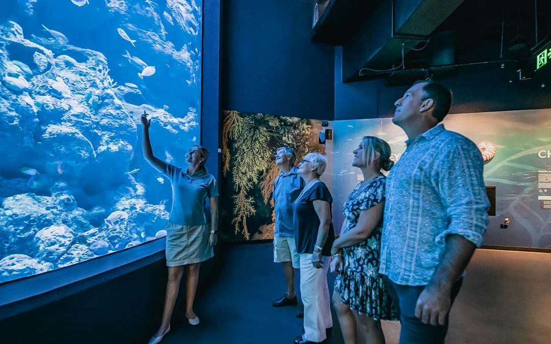 Cairns Aquarium Night Tour with Optional Dinner Image 3