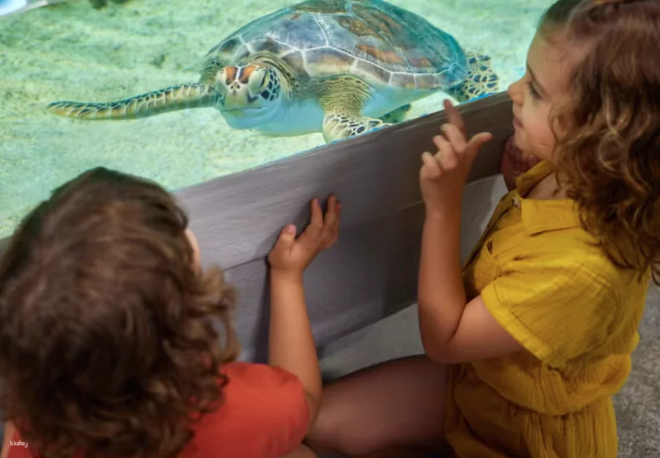 Cairns Aquarium Tickets | Queensland