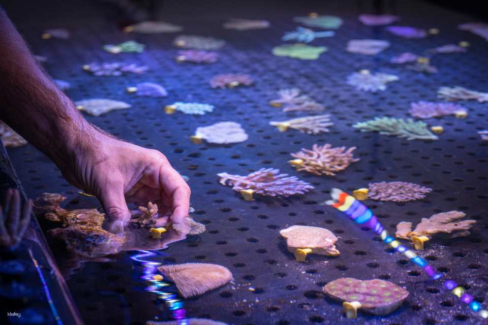 Cairns Aquarium Tickets | Queensland