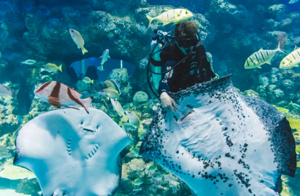 Cairns Aquarium Tickets | Queensland