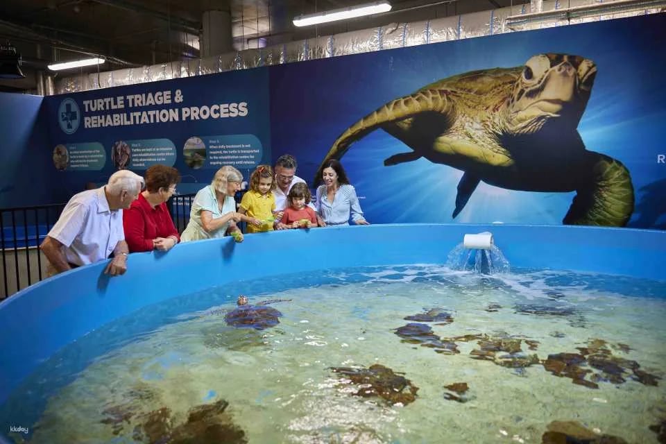 Cairns Aquarium Tickets | Queensland
