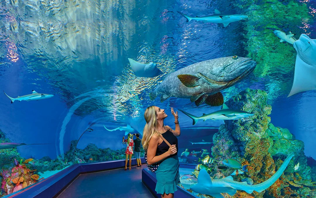 Cairns Aquarium Tickets Image 1