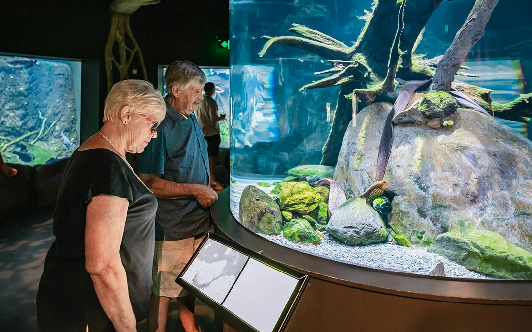Cairns Aquarium Tickets Image 2