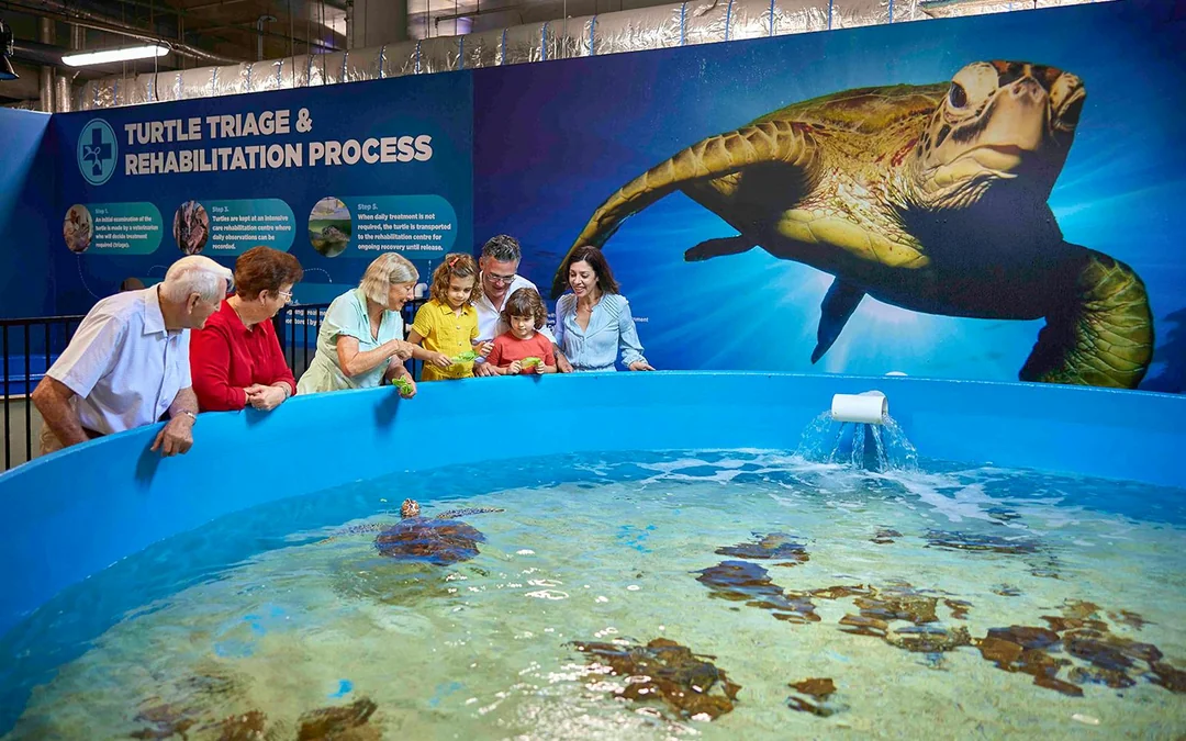 Cairns Aquarium Tickets Image 4