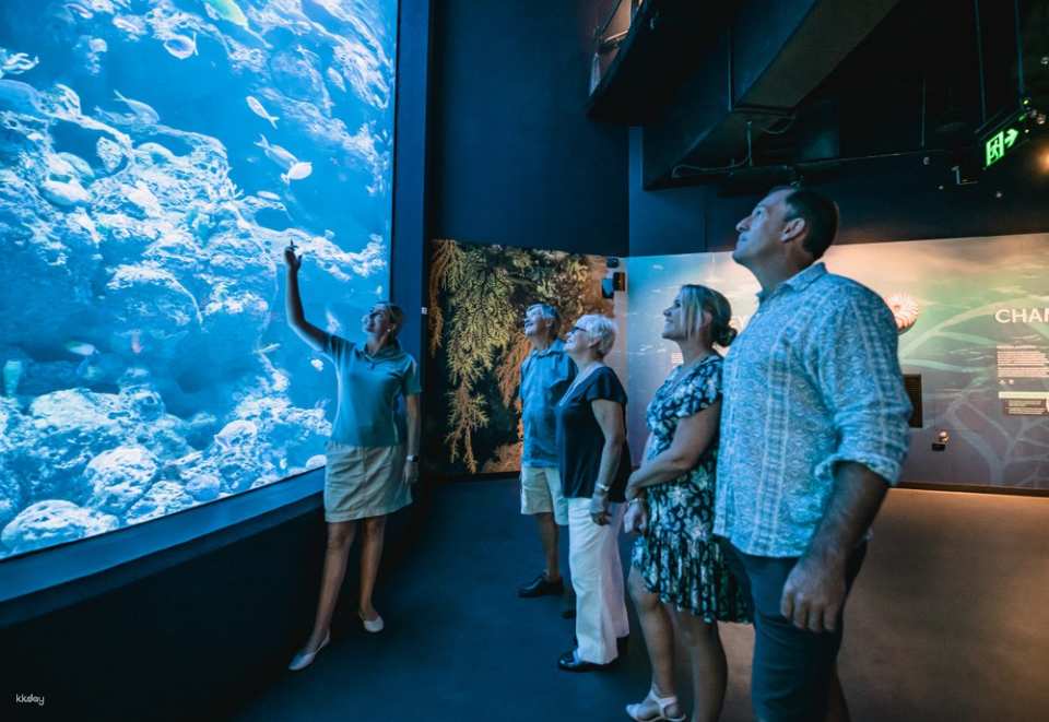 Cairns Aquarium Twilight Tour with Dinner Option | Queensland