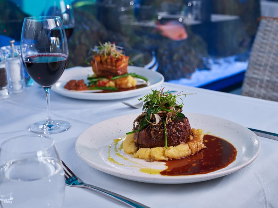 Cairns Aquarium Twilight Tour with Dinner Option | Queensland