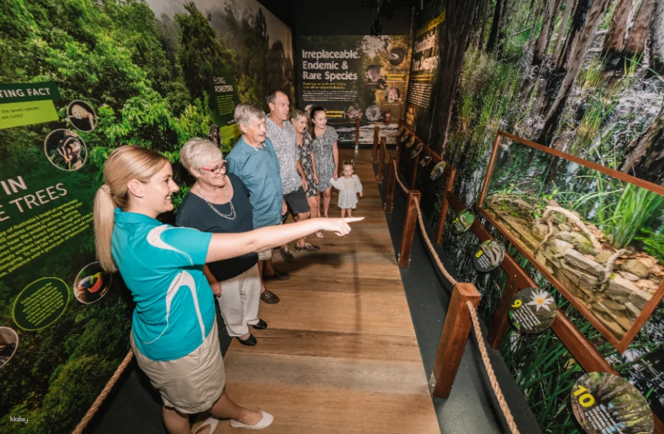 Cairns Aquarium Twilight Tour with Dinner Option | Queensland