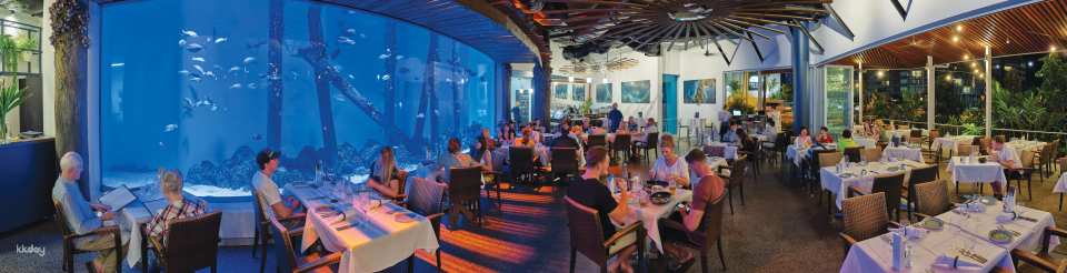 Cairns Aquarium Twilight Tour with Dinner Option | Queensland
