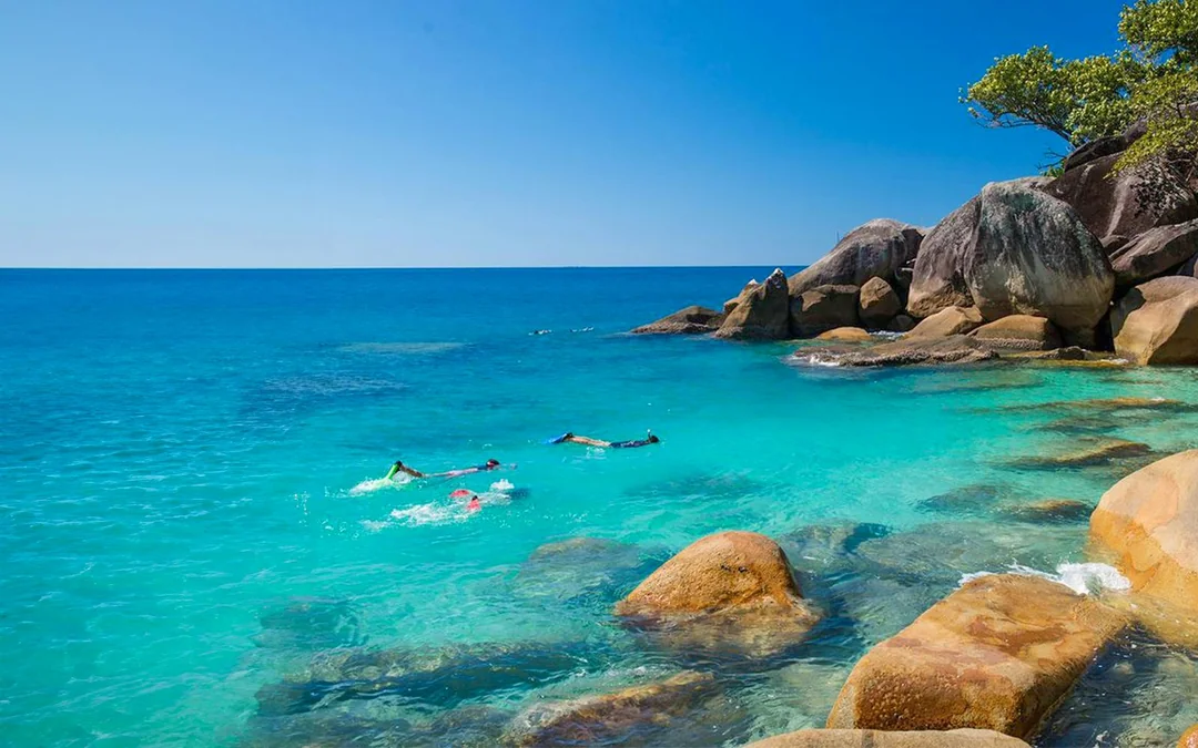 Cairns to Fitzroy Island and Moore Reef Full-Day Cruise with Buffet Lunch by Sunlover Image 12