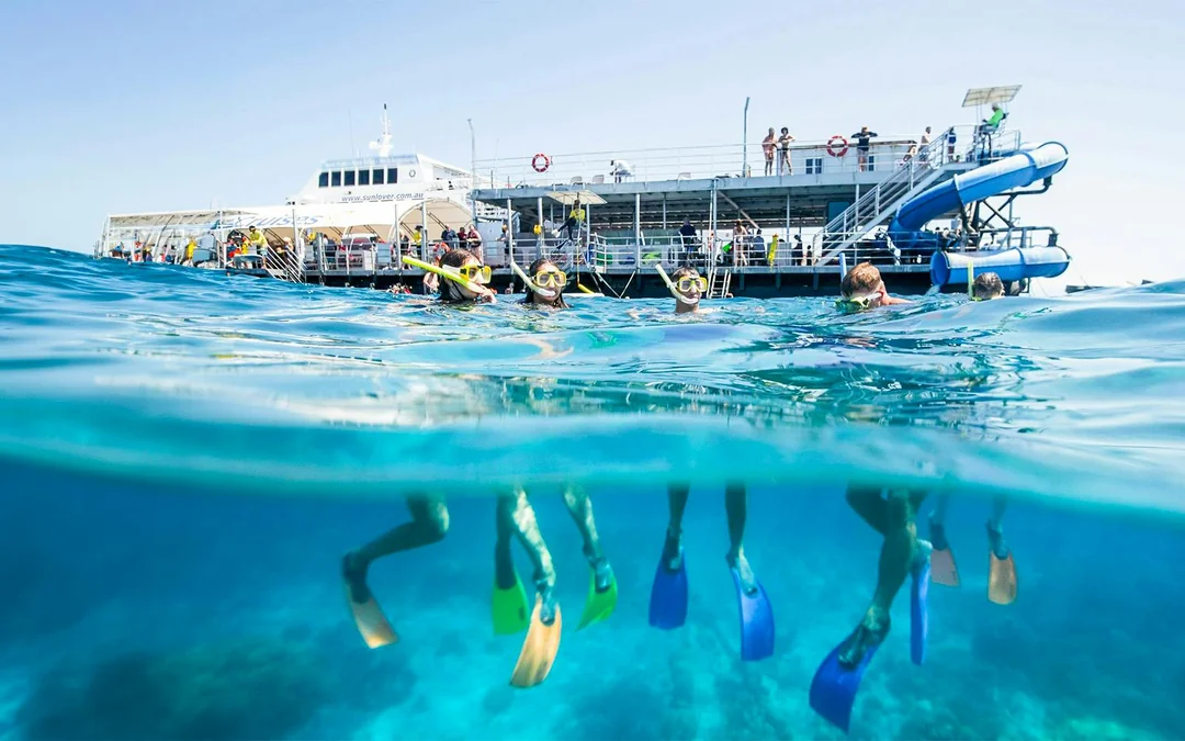Cairns to Fitzroy Island and Moore Reef Full-Day Cruise with Buffet Lunch by Sunlover Image 3