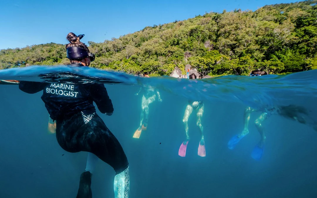 Cairns to Fitzroy Island Full Day Cruise with Activity Upgrades Image 4