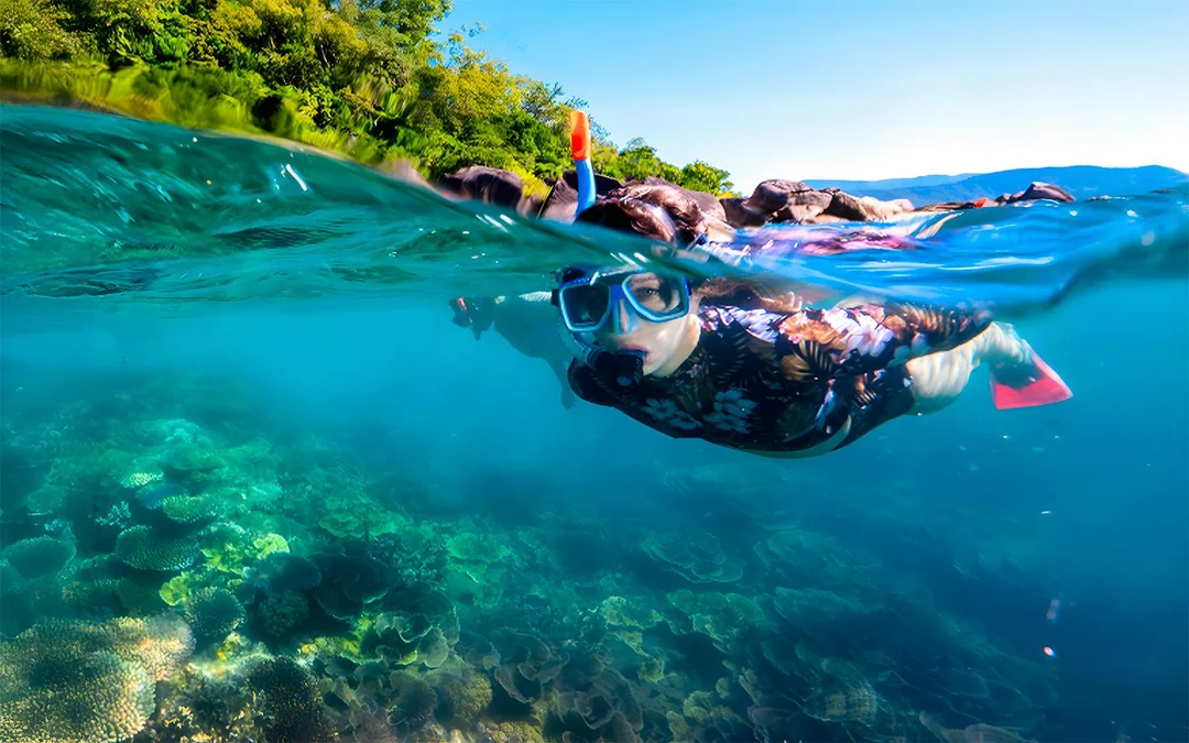 Cairns to Fitzroy Island Half-Day Cruise With Activity Upgrades Image 4