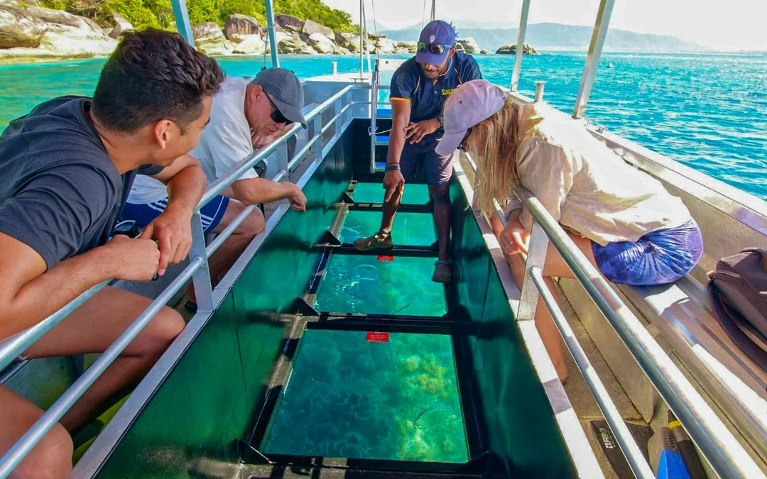 Cairns to Fitzroy Island Half-Day Cruise With Activity Upgrades Image 5